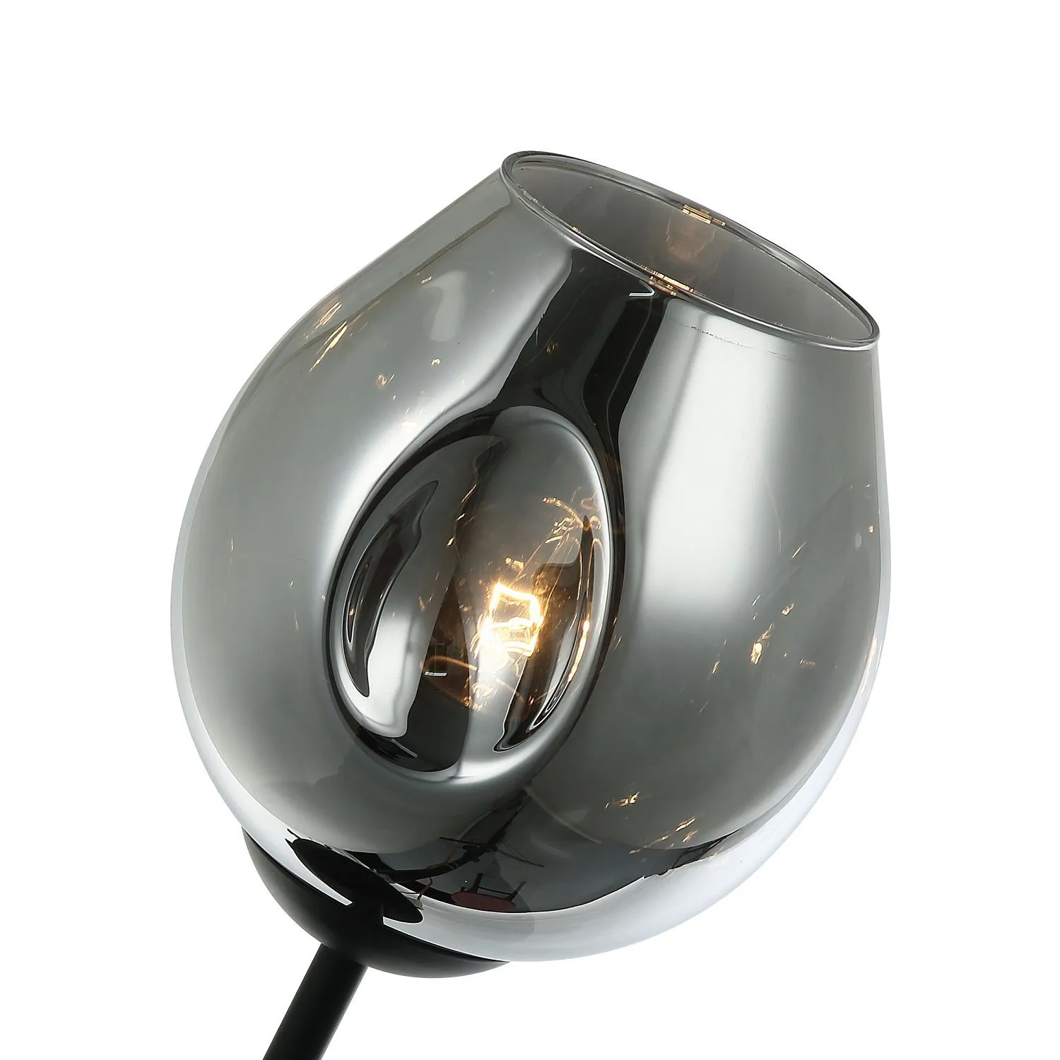 Бра Favourite TRAUBE 2359-1W