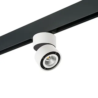 Светильник с комплектом Lightstar Forte Muro PRO214816