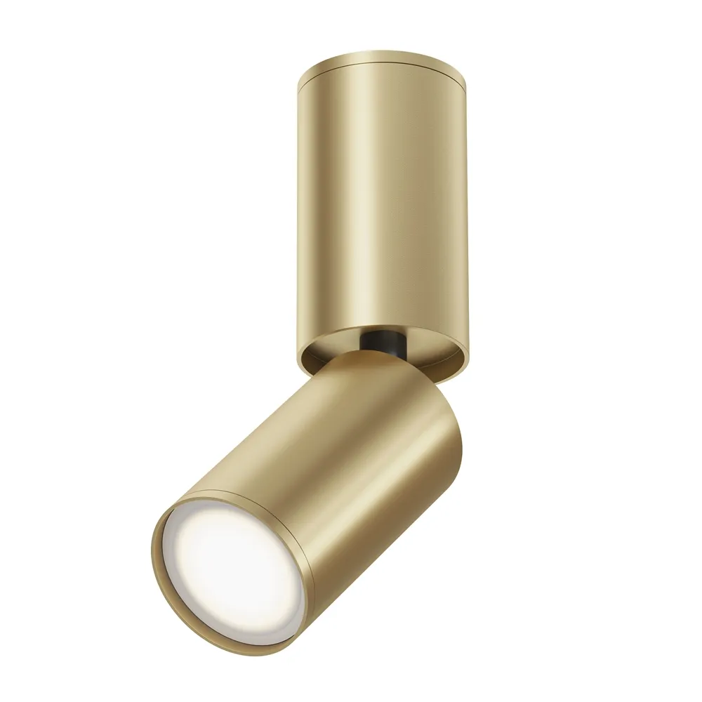 Светильник потолочный Maytoni Focus S C051CL-01G