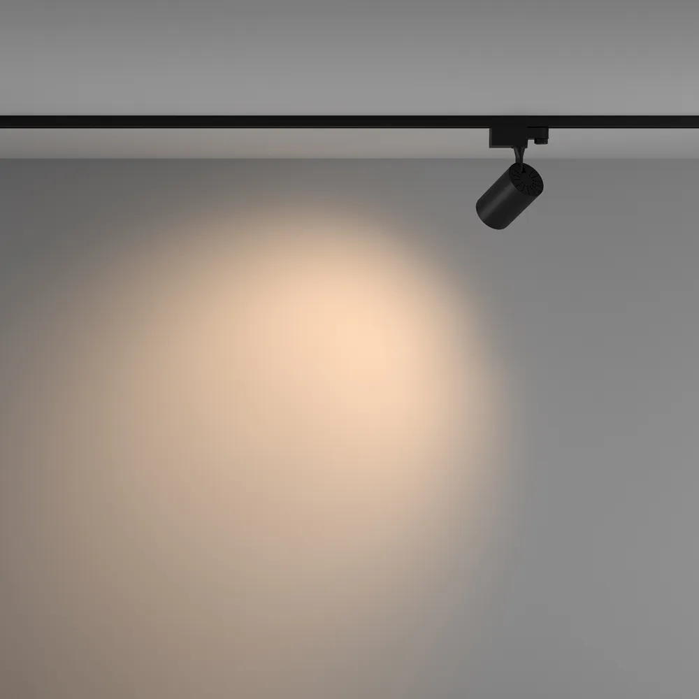 Светильник трековый Maytoni Vuoro TR029-3-10W3K-W-B