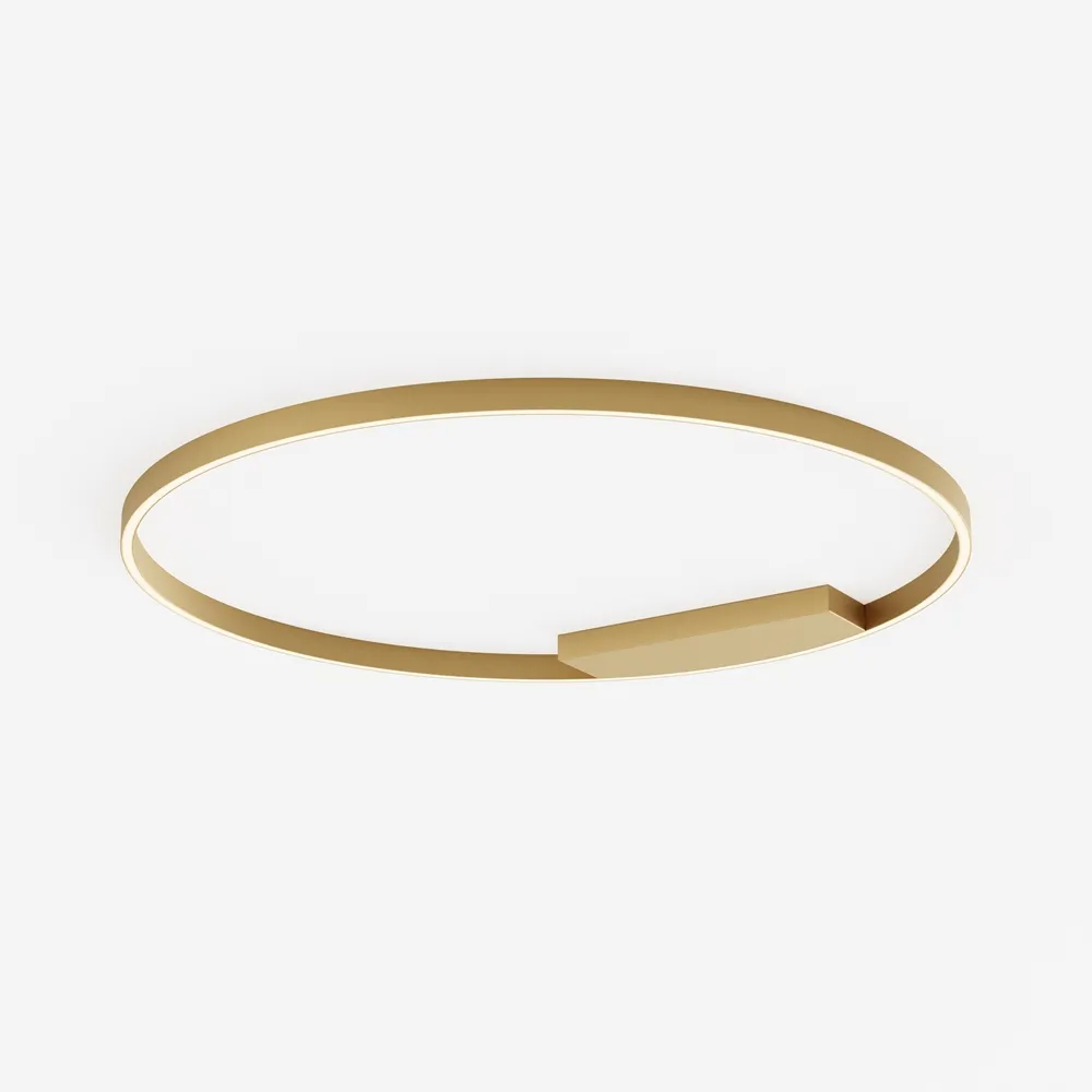 Светильник потолочный Maytoni Rim MOD058CL-L65BSK