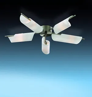 Люстра потолочная Odeon Light Ray 2014/5C