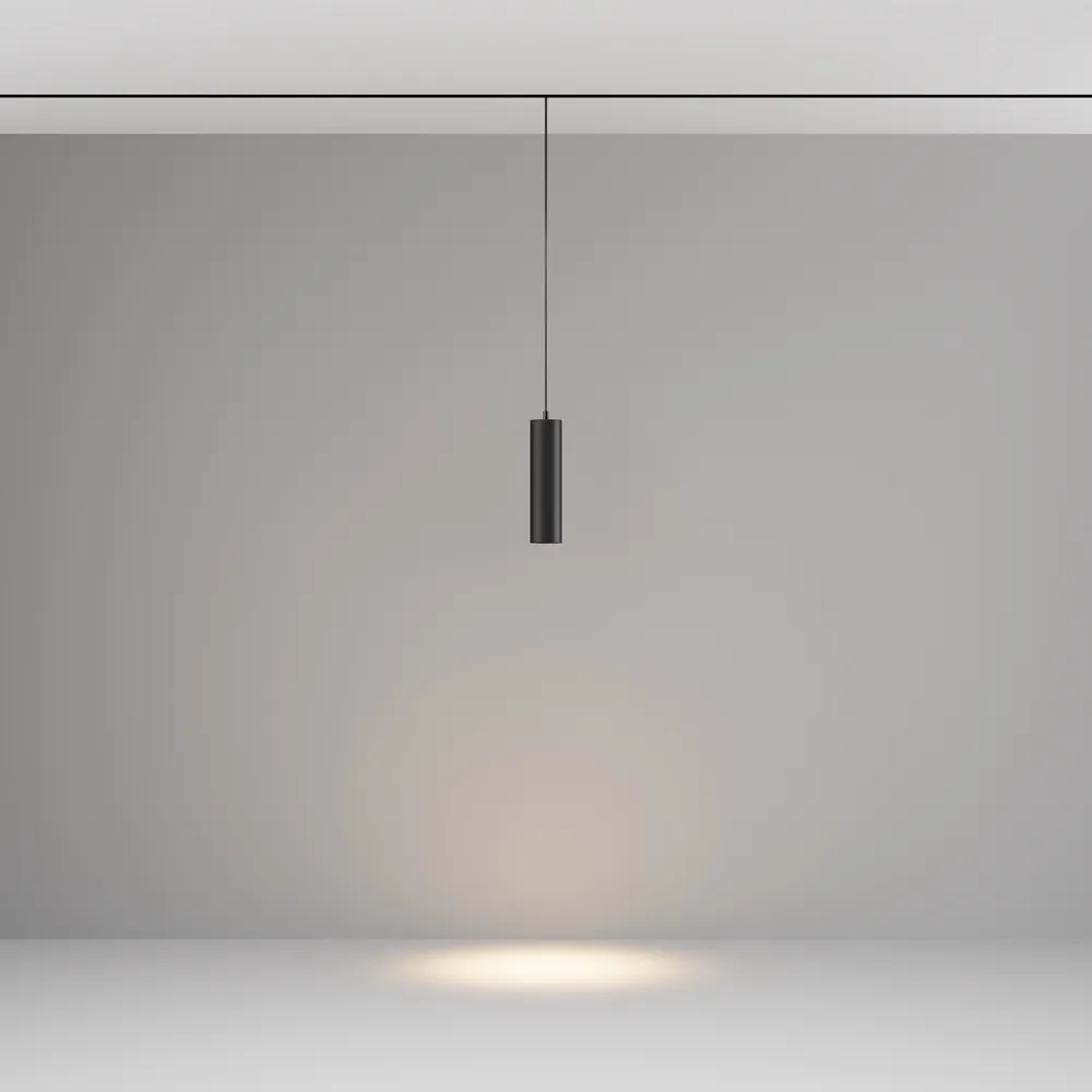 Светильник трековый магнитный подвесной Maytoni Focus Led TR041-2-12W3K-B