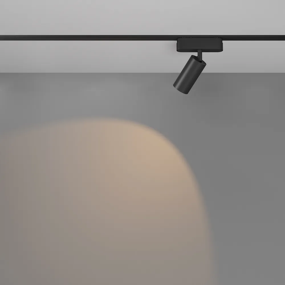 Светильник трековый магнитный Maytoni Focus Led TR103-1-12W3K-M-B