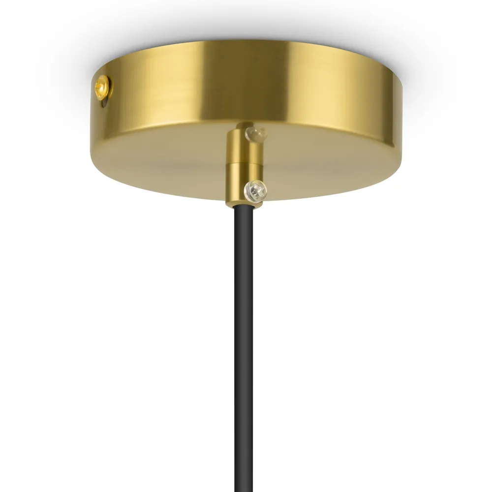 Светильник подвесной Freya Eleon FR5218PL-01BS