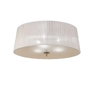 Светильник потолочный Mantra Loewe 4740