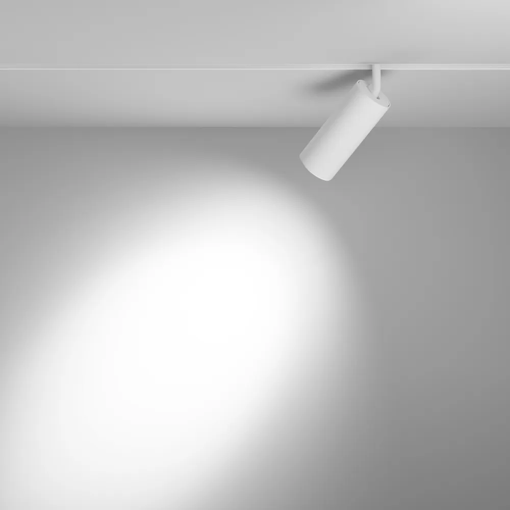 Светильник трековый магнитный Maytoni Focus Led TR032-2-20W3K-S-W