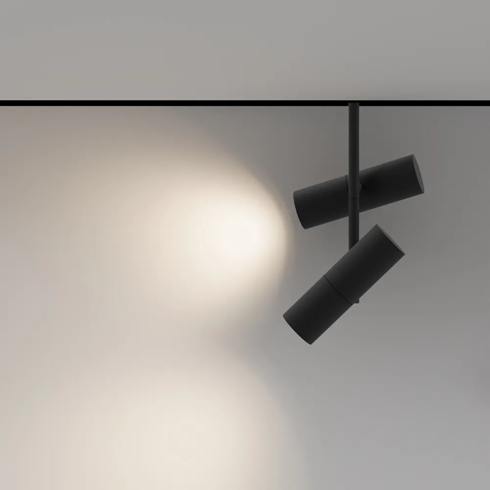 Светильник трековый магнитный Maytoni Elti Duo TR005-2-2X12W3K-B