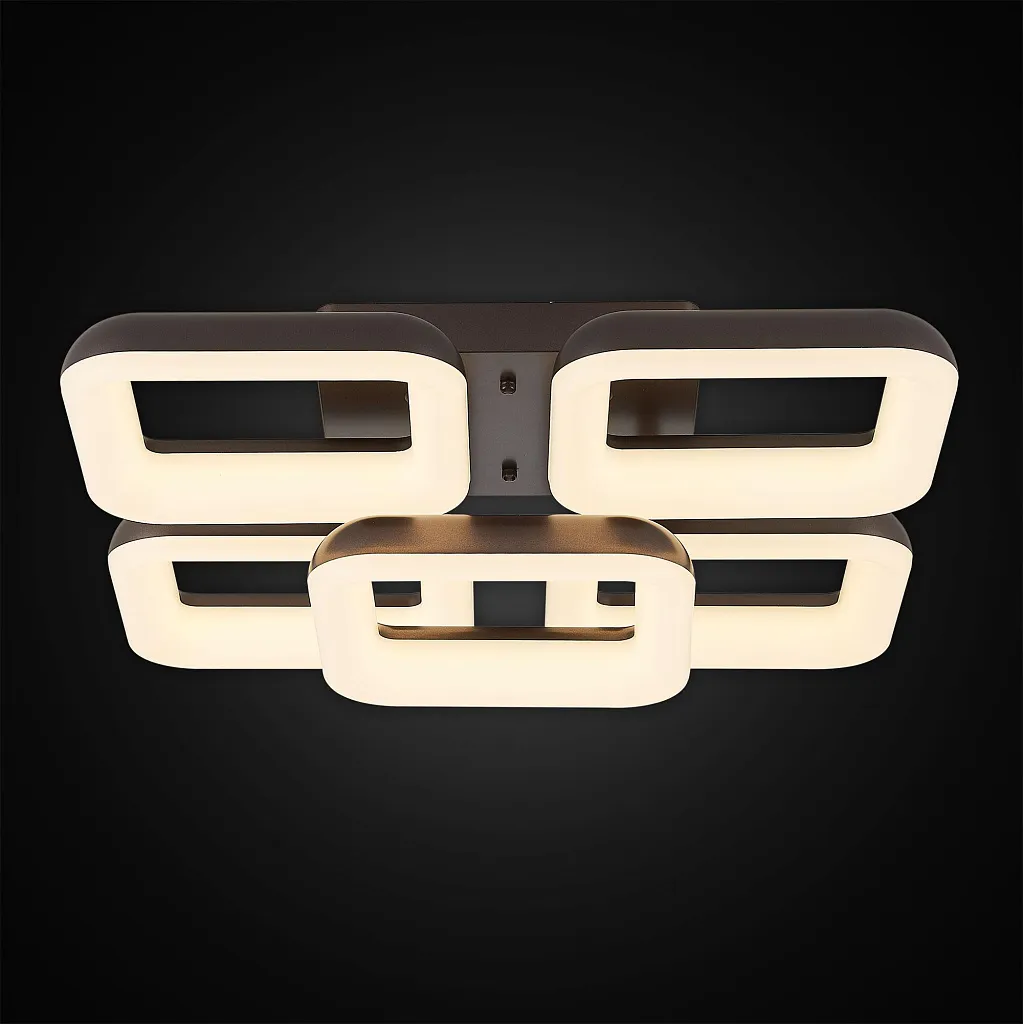 Люстра потолочная Citilux Паркер CL225255R