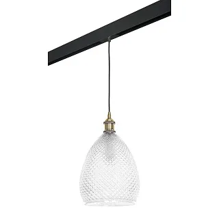 Светильник с комплектом Lightstar Genni PRO798021