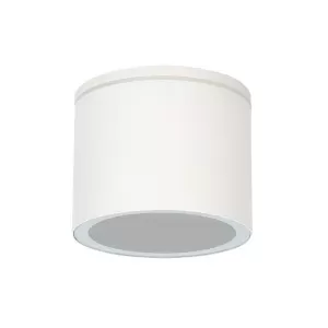 Уличный потолочный светильник Arte Lamp PIAUTOS A1913PF-1WH