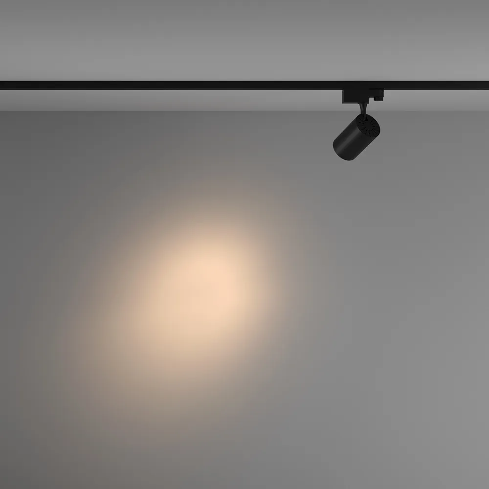 Светильник трековый Maytoni Vuoro TR029-3-10W3K-S-B