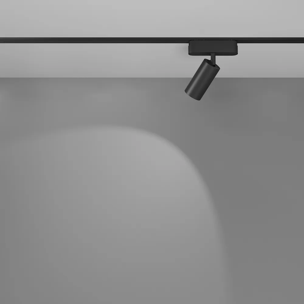 Светильник трековый магнитный Maytoni Focus Led TR103-1-12W4K-M-B
