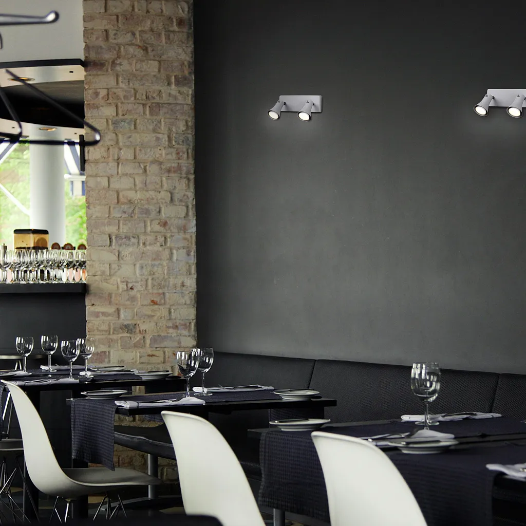 Спот Odeon Light Reanna 3825/2W