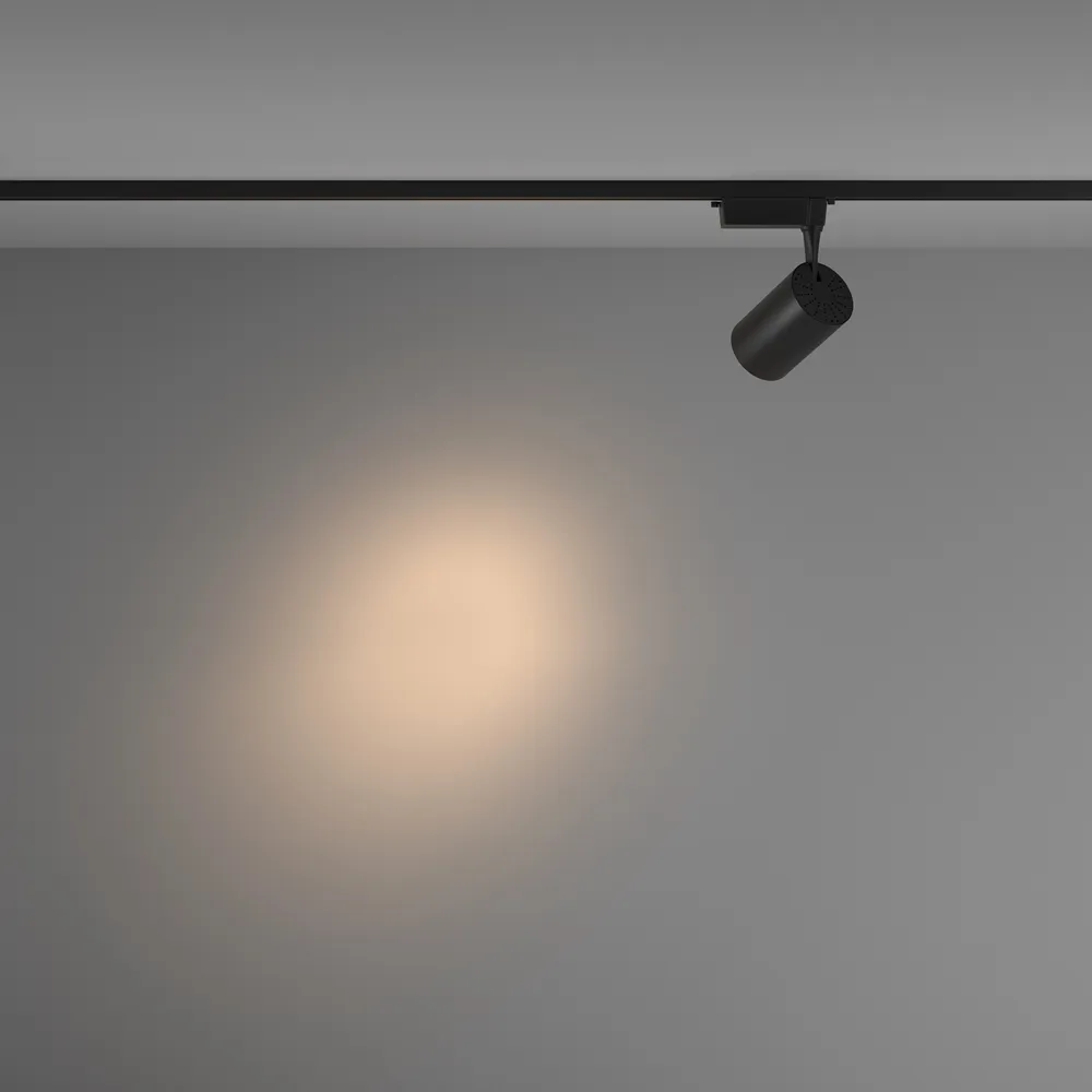 Светильник трековый Maytoni Vuoro TR003-1-26W3K-S-B