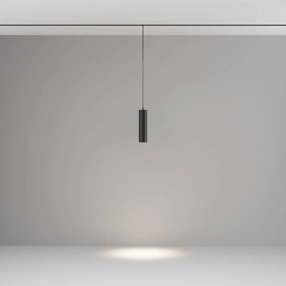 Светильник трековый магнитный подвесной Maytoni Focus Led TR041-2-12W4K-B