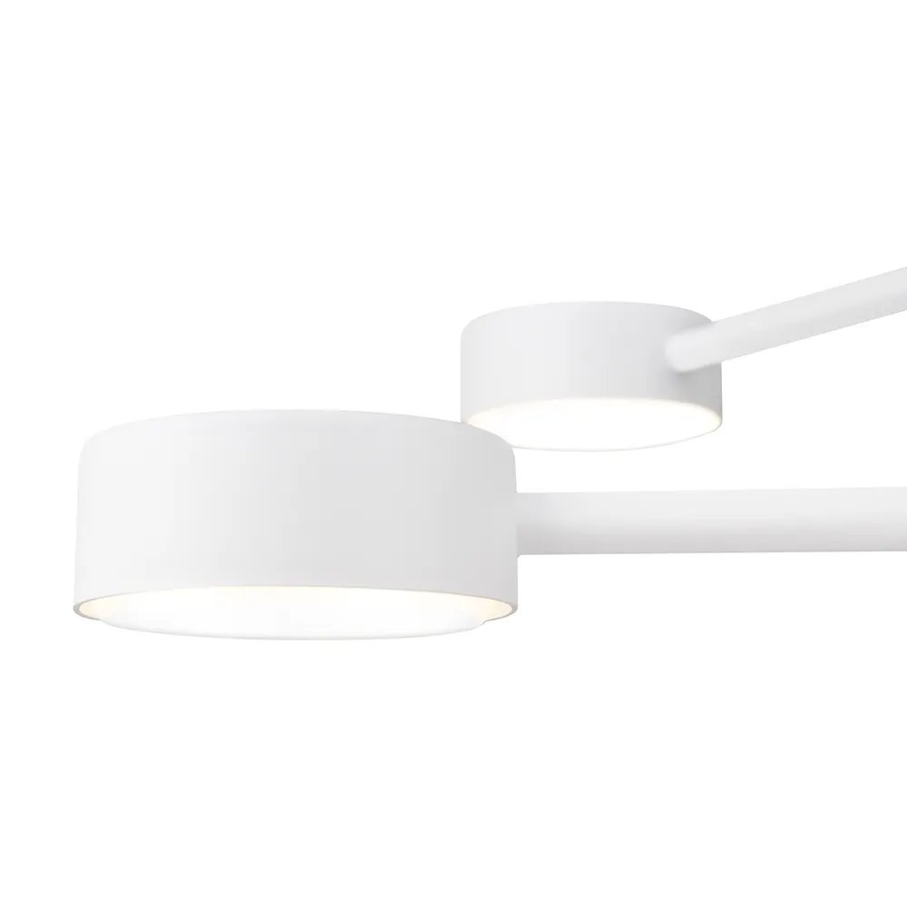 Потолочный светильник Freya FR5363CL-04W