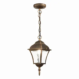 Светильник уличный подвесной ST-Luce Domenico SL082.203.01