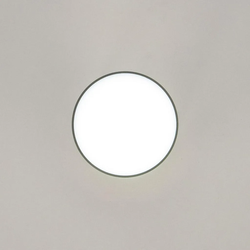 Светильник накладной Citilux Борн CL745011N