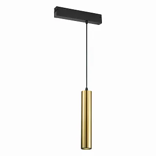 Светильник трековый ST-Luce Skyline 220 ST507.303.01