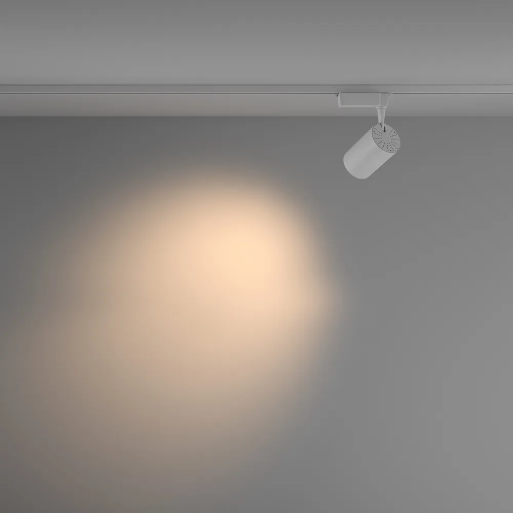 Светильник трековый Maytoni Vuoro TR003-1-26W3K-M-W