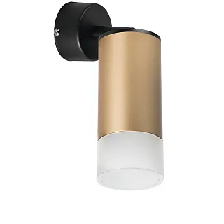 Светильник с комплектом Lightstar Rullo RB44031