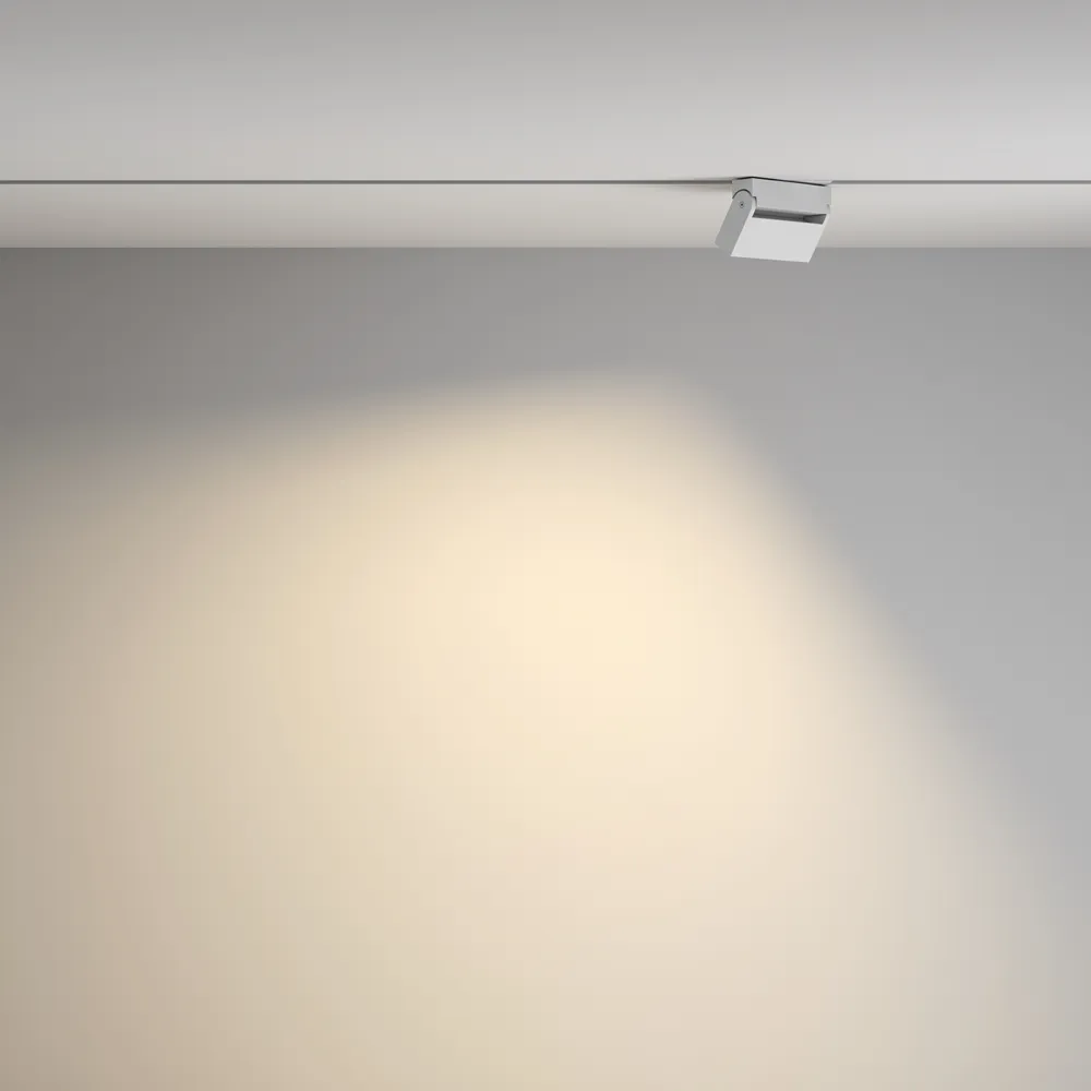 Светильник трековый магнитный Maytoni Points Rot TR077-2-10W3K-W