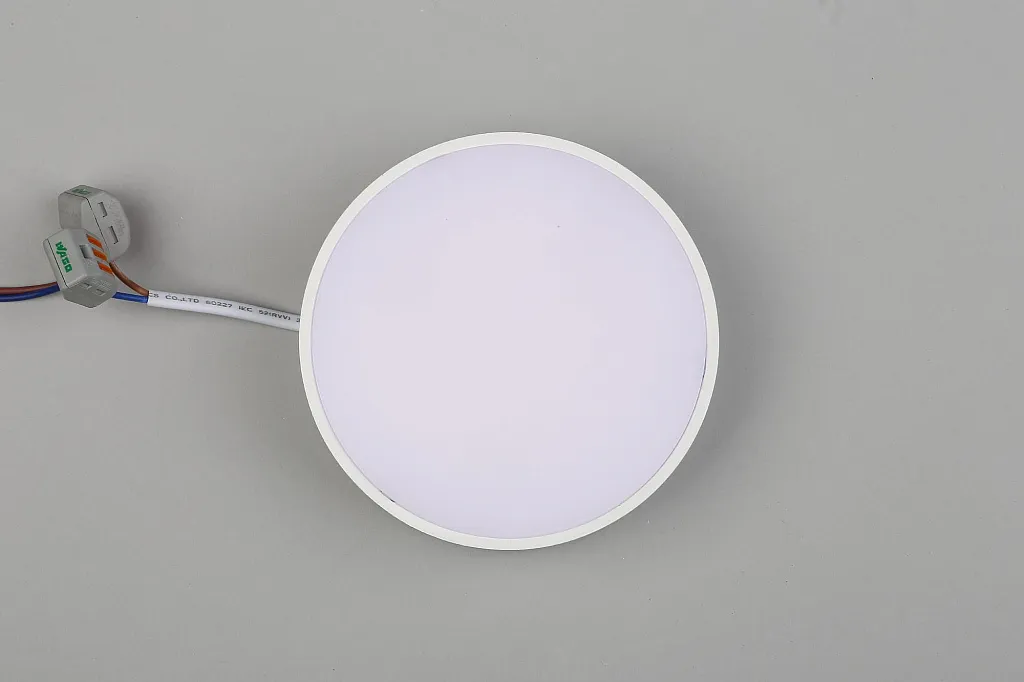 Светильник потолочный Aployt Evon APL.0113.09.12