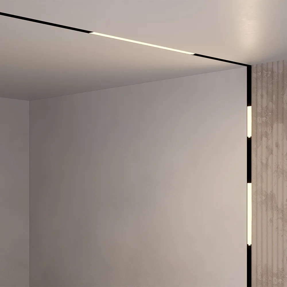 Светильник трековый магнитный Maytoni Basis TR074-2-12W4K-B