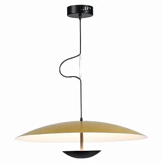 Светильник подвесной ST-Luce Armonico SL6502.213.01