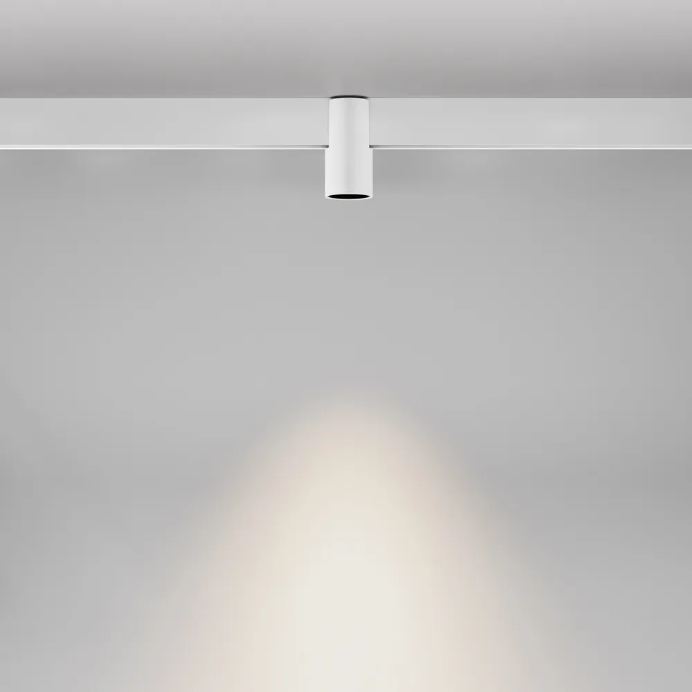 Светильник трековый магнитный Maytoni Alfa TR122-4-7W-DS-W