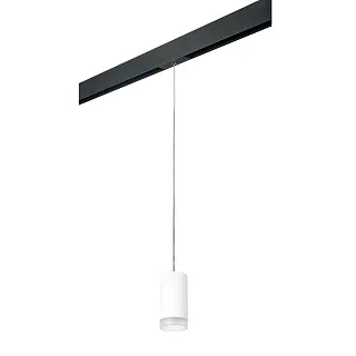 Светильник с комплектом для трека Lightstar Rullo PRORP43630