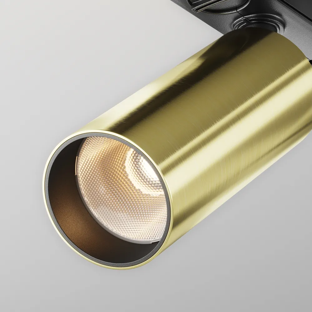 Светильник трековый Maytoni Focus Led TR021-1-12W3K-W-BBS