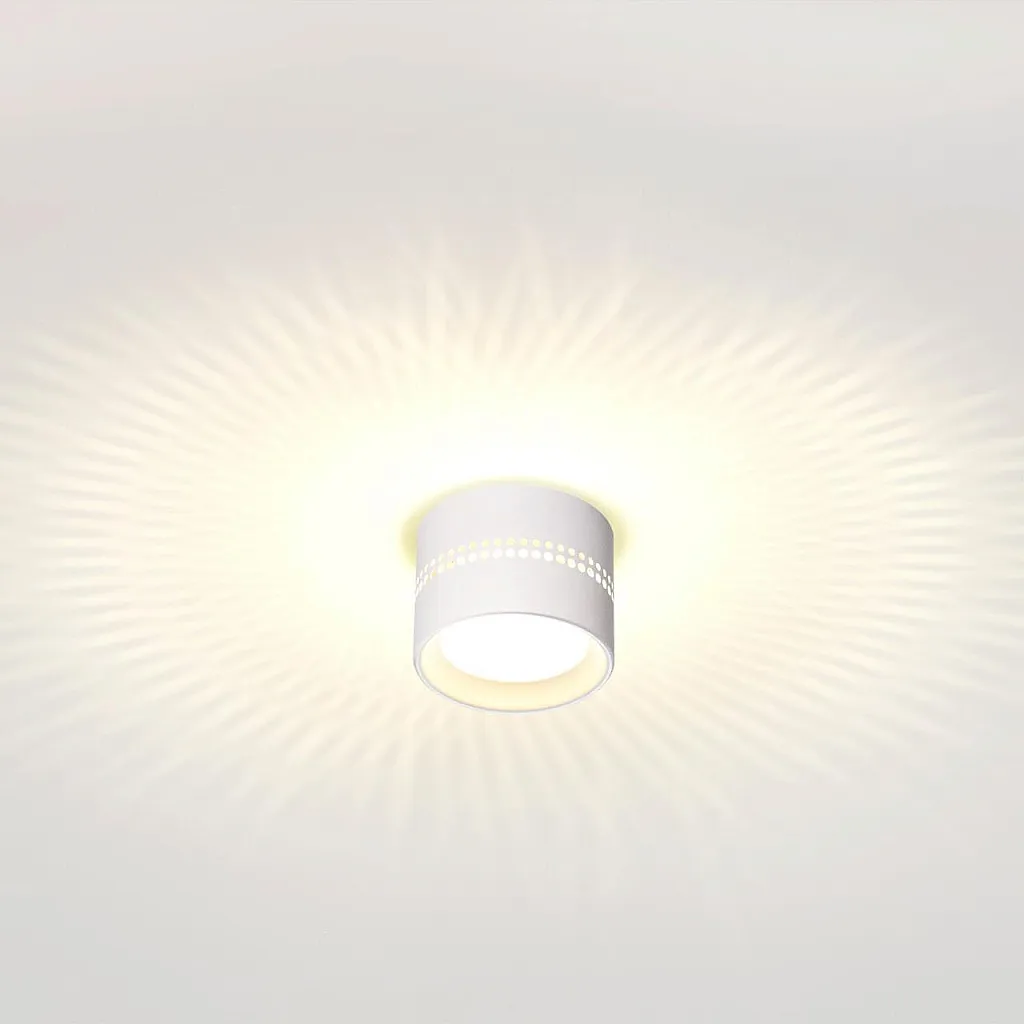 Светильник накладной Odeon Light Real 6609/1C