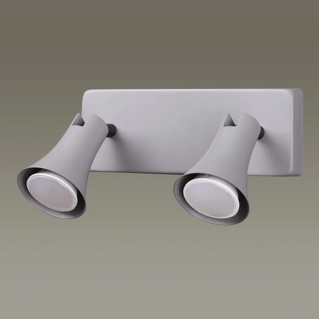 Спот Odeon Light Reanna 3825/2W