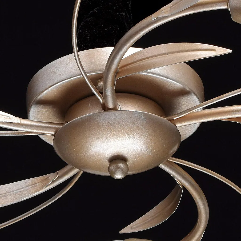 Люстра потолочная MW-Light Восторг 242016205