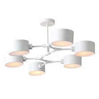 Светильник потолочный Evoluce Gimento SLE183502-06