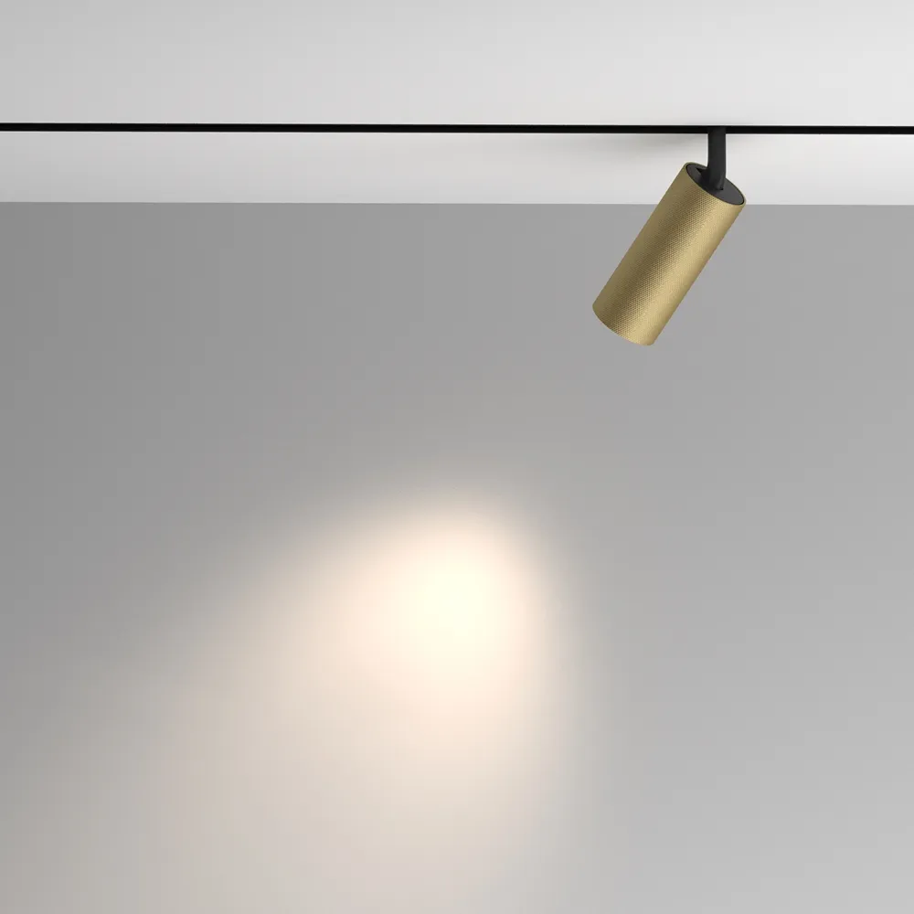 Светильник трековый магнитный Maytoni Artisan TR097-2-12W4K-M-BMG