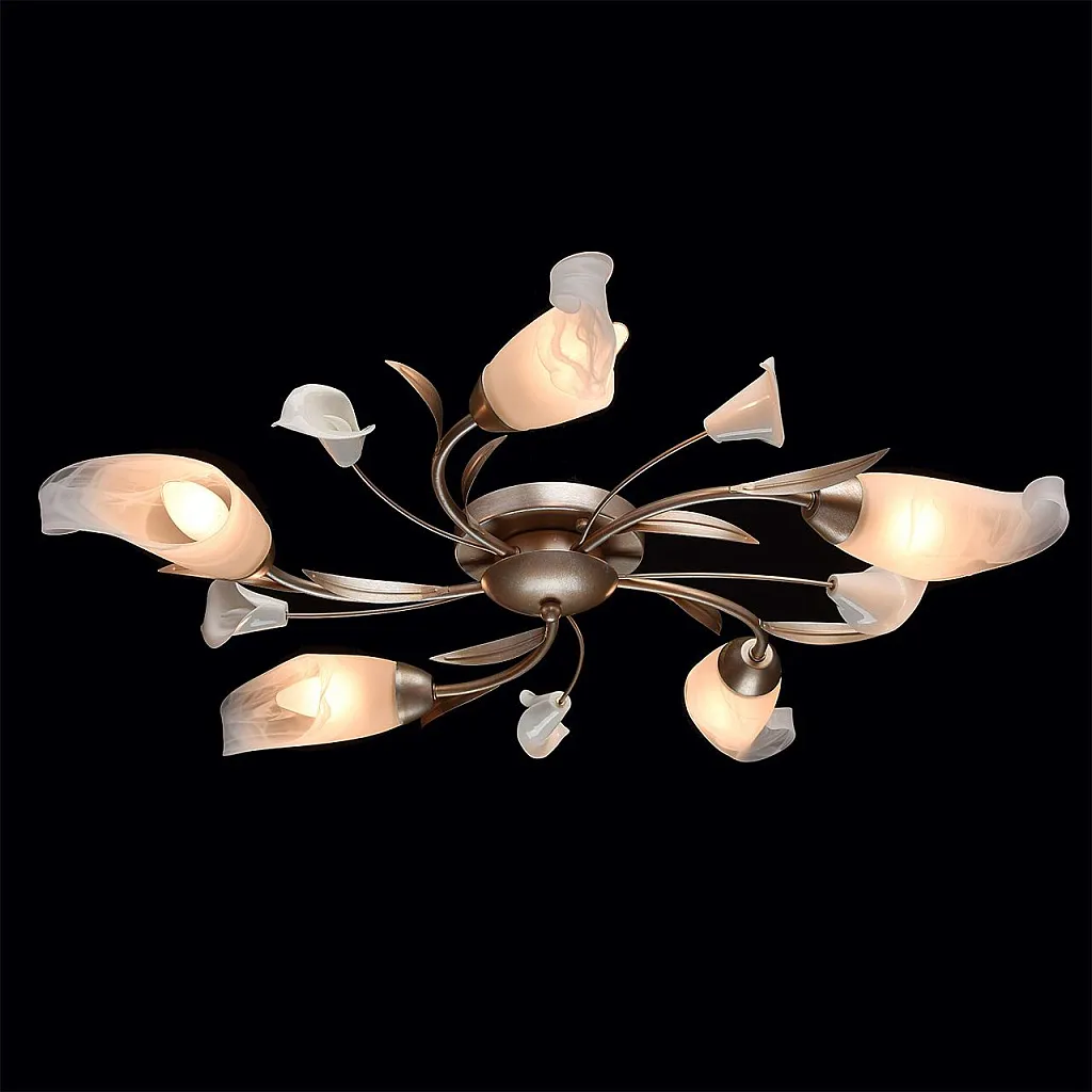 Люстра потолочная MW-Light Восторг 242016205