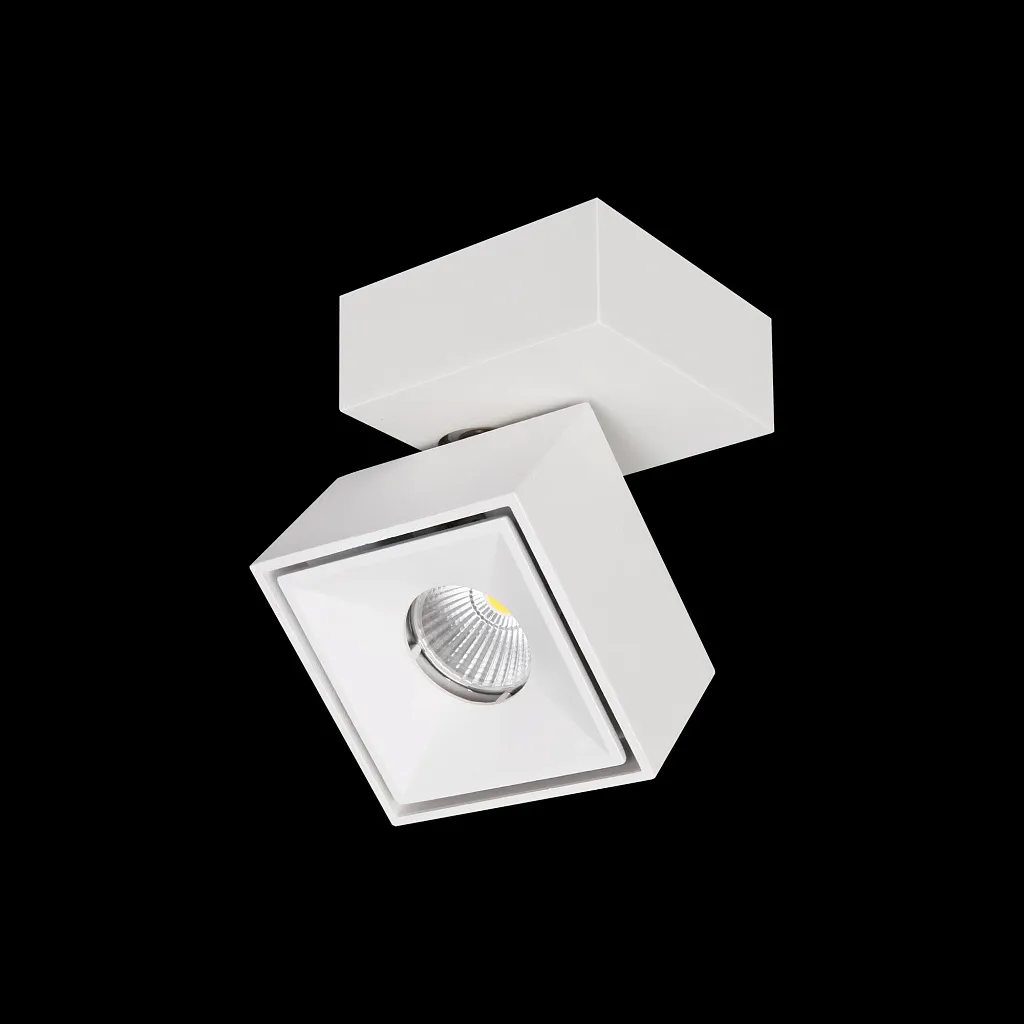 Спот Citilux Стамп CL558020N