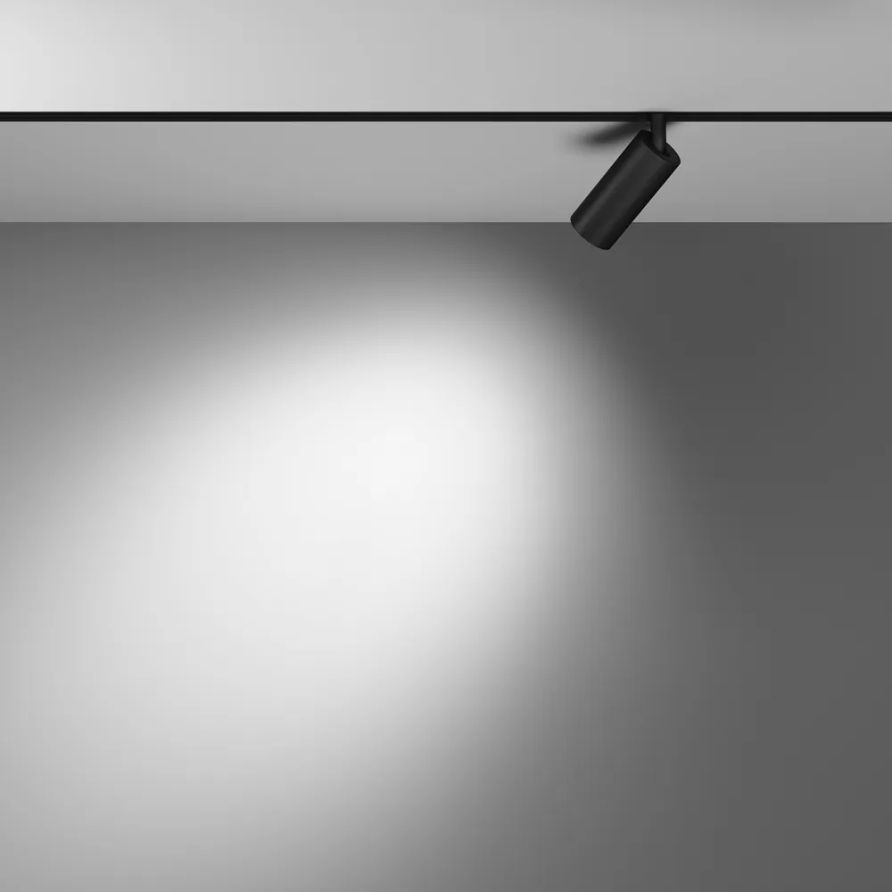 Светильник трековый магнитный Maytoni Focus Led TR032-2-5W3K-M-B