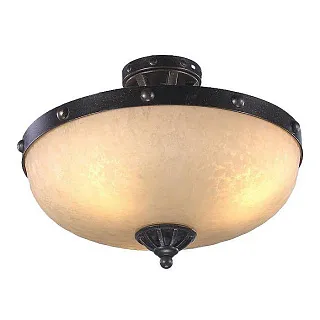 Светильник потолочный L'Arte Luce Fort L50353.46