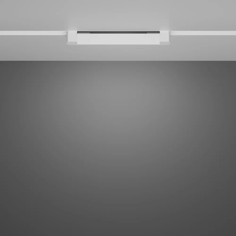 Светильник трековый Maytoni Basis Rot TR104-1-10W4K-W