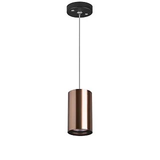 Светильник с комплектом Lightstar Rullo RP430