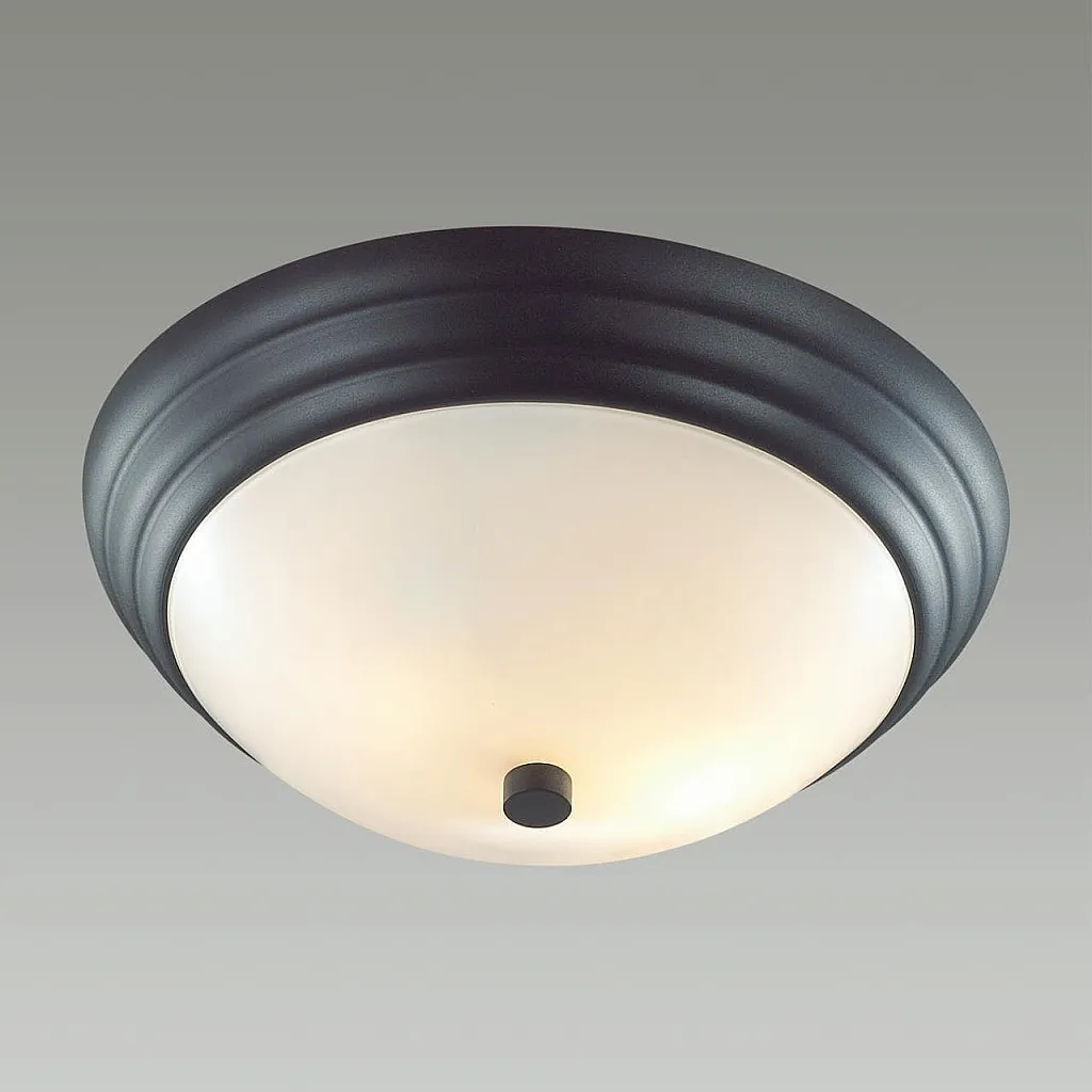 Светильник потолочный Lumion Kayla 5263/2C