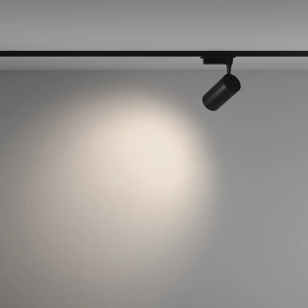 Светильник трековый Maytoni Vuoro TR003-1-36W4K-W-B