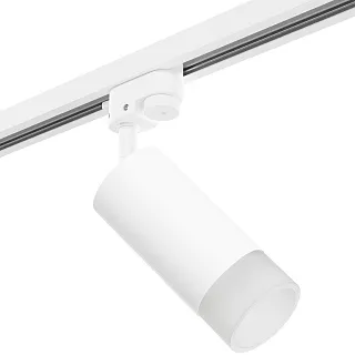 Светильник с комплектом Lightstar Rullo R1T43631