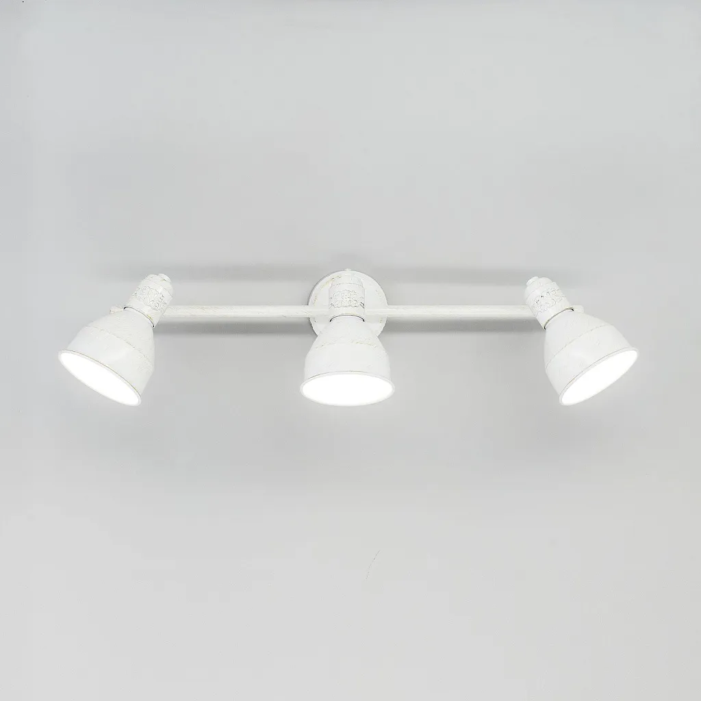 Спот Citilux Опус CL502533