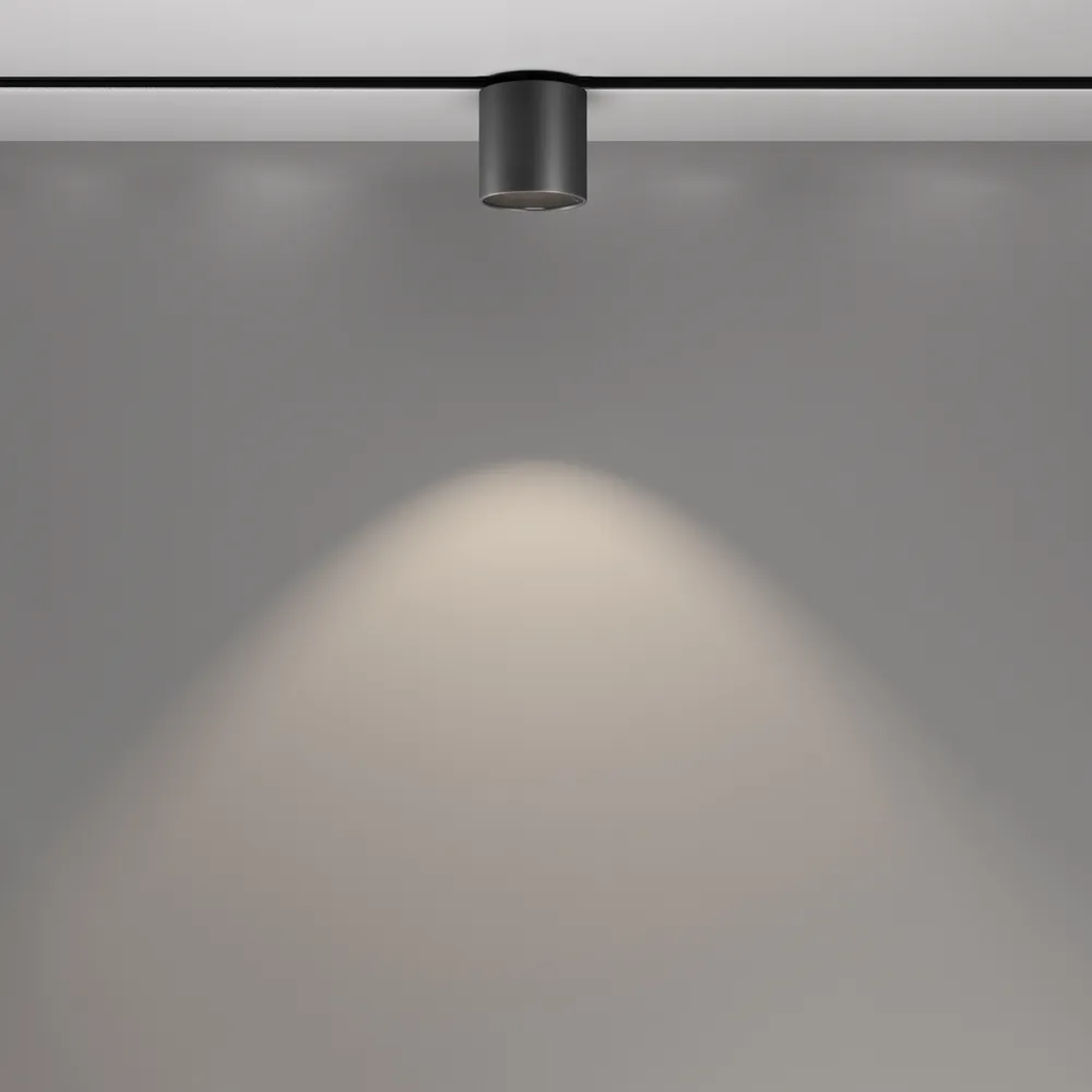 Светильник трековый магнитный Maytoni Alfa S TR132-2-7W4K-B