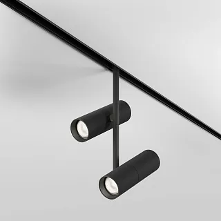 Светильник трековый магнитный Maytoni Elti Duo TR005-2-2X12W4K-B